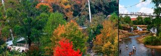 Liberty Bridge over the Reedy River Greenville, SC